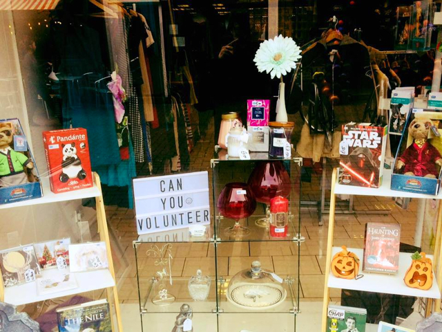 A photo of the display window in our Burleigh Street charity shop
