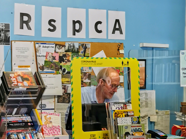A photo of a man standing behind counter in a charity shop, with letters RSPCA written on the wall